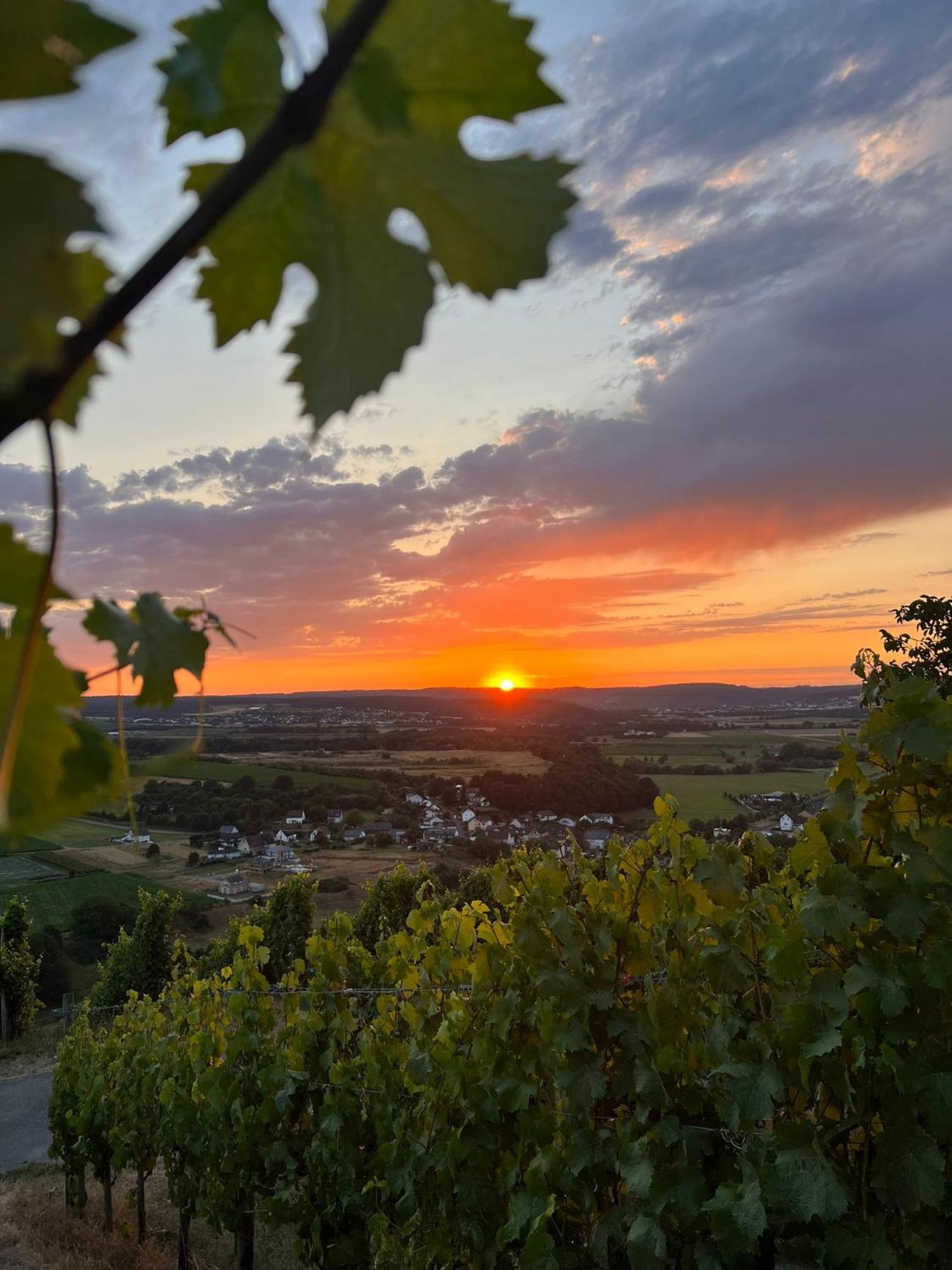 Weingut U. Gaestehaus Becker Platten Kültér fotó
